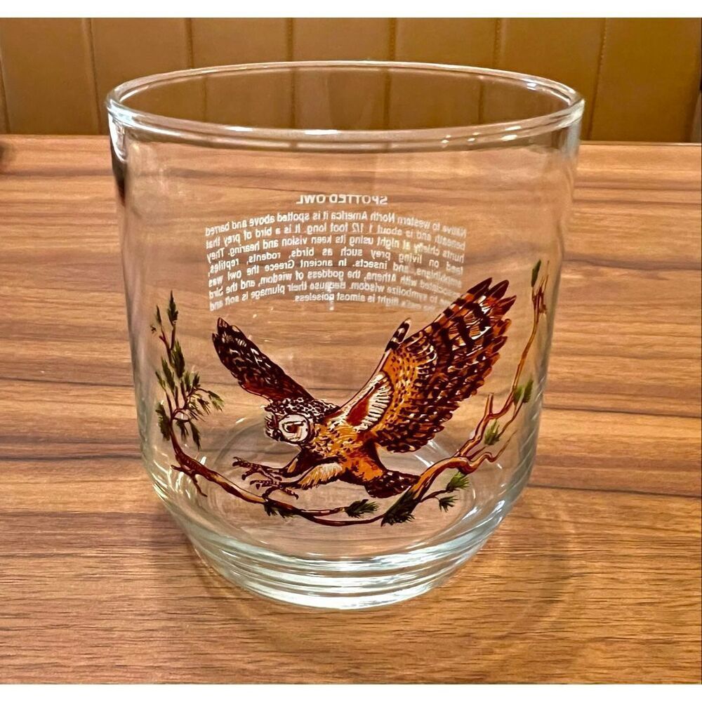 Vintage Sunoco North American Wildlife Glass Libbey Spotted Owl